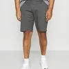 Only & Sons ONSCAM - Short - Grey