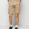 Only & Sons ONSLUDVIG WORKWEAR - Short - Chinchilla