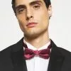 Only & Sons ONSTHEO BOW TIE - Noeud Papillon - Merlot