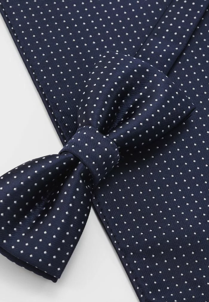 Only & Sons ONSTBOX THEO TIE SET - Mouchoir De Poche - Dress Blues/white 5 Only & Sons ONSTBOX THEO TIE SET - Mouchoir De Poche - Dress Blues/white – Image 5
