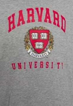 Only & Sons ONSHARVARD HOODIE UNISEX - Sweatshirt - Light Grey Melange -Only & Sons Soldes Boutique 93e97db9c328407e9faf1c072287102c