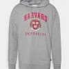 Only & Sons ONSHARVARD HOODIE UNISEX - Sweatshirt - Light Grey Melange