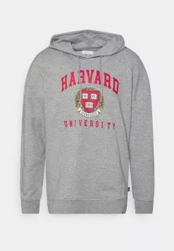 Only & Sons ONSHARVARD HOODIE UNISEX - Sweatshirt - Light Grey Melange