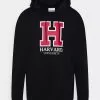 Only & Sons ONSHARVARD HOODIE UNISEX - Sweatshirt - Black