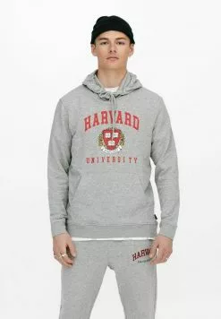 Only & Sons Sweat à Capuche - Light Grey Melange